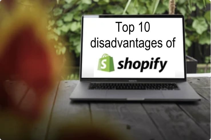 Top 10 Disadvantages Of Shopify 2 Top 10 Shopify disadvantages